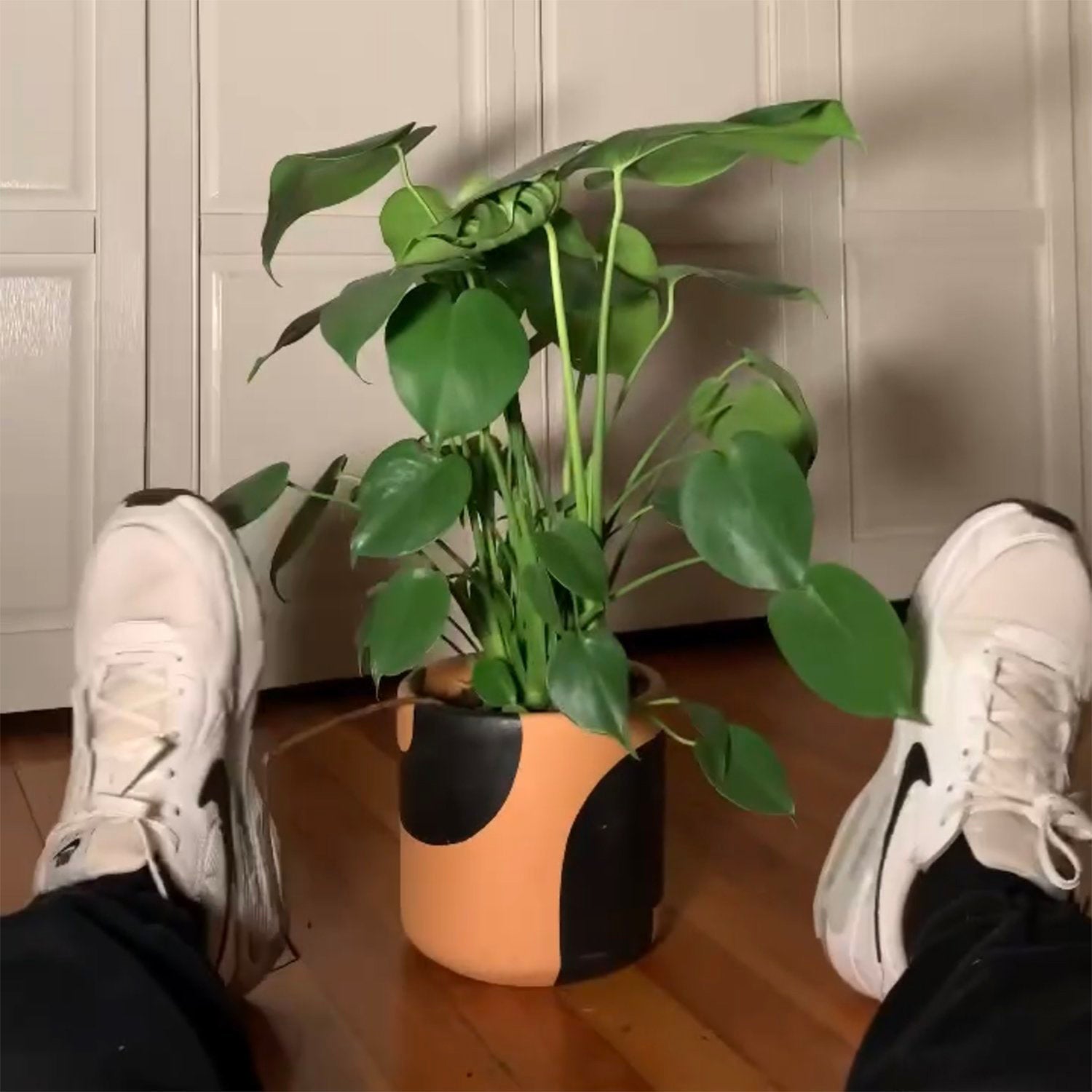 Garden Fun & Planters – Practical Art
