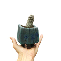 Planter by Kimberly Harris