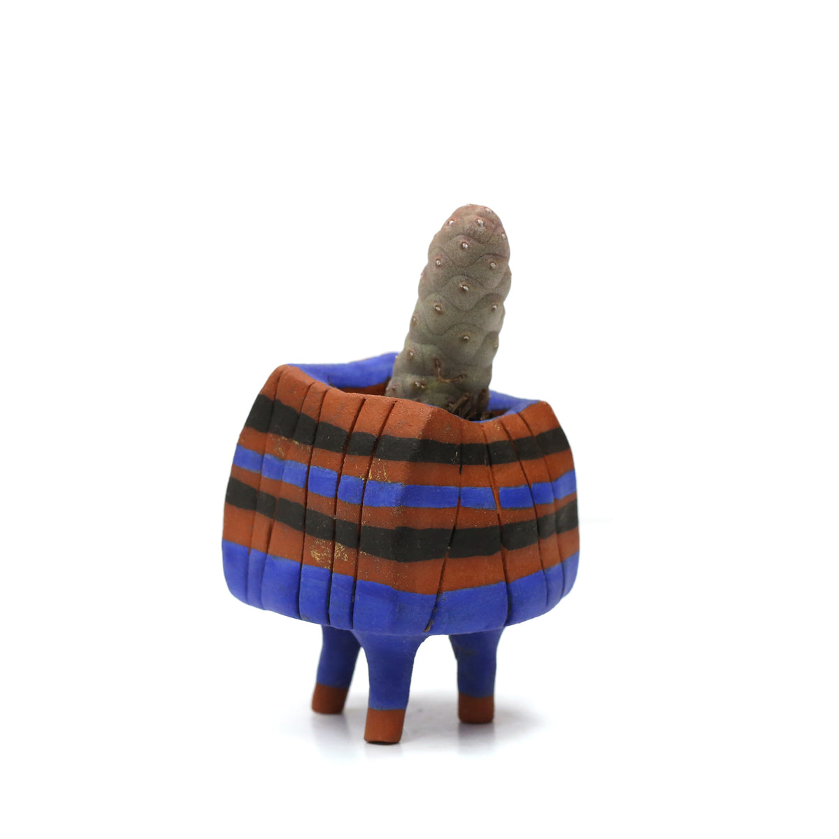 Planter by Kimbery Harris