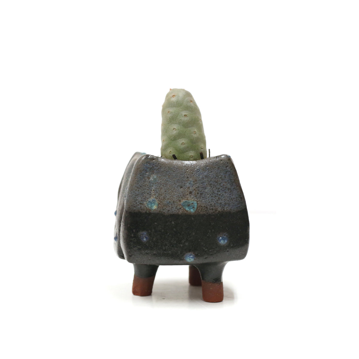 Planter by Kimbery Harris