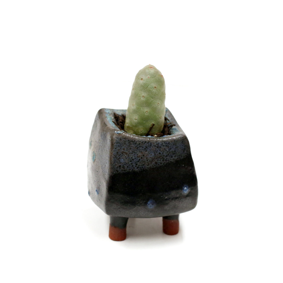 Planter by Kimbery Harris