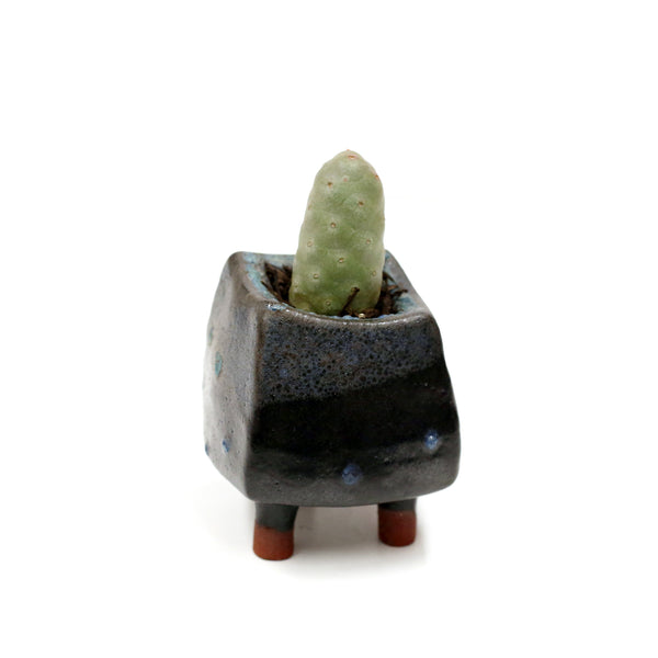 Planter by Kimbery Harris