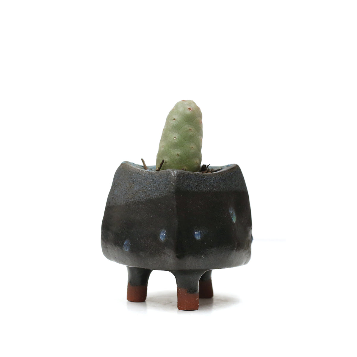 Planter by Kimbery Harris