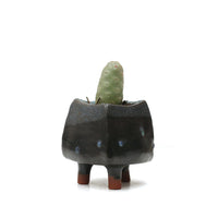 Planter by Kimbery Harris