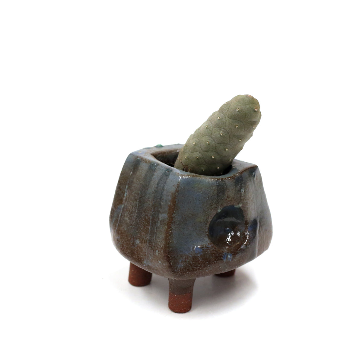 Planter by Kimbery Harris