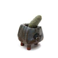 Planter by Kimbery Harris