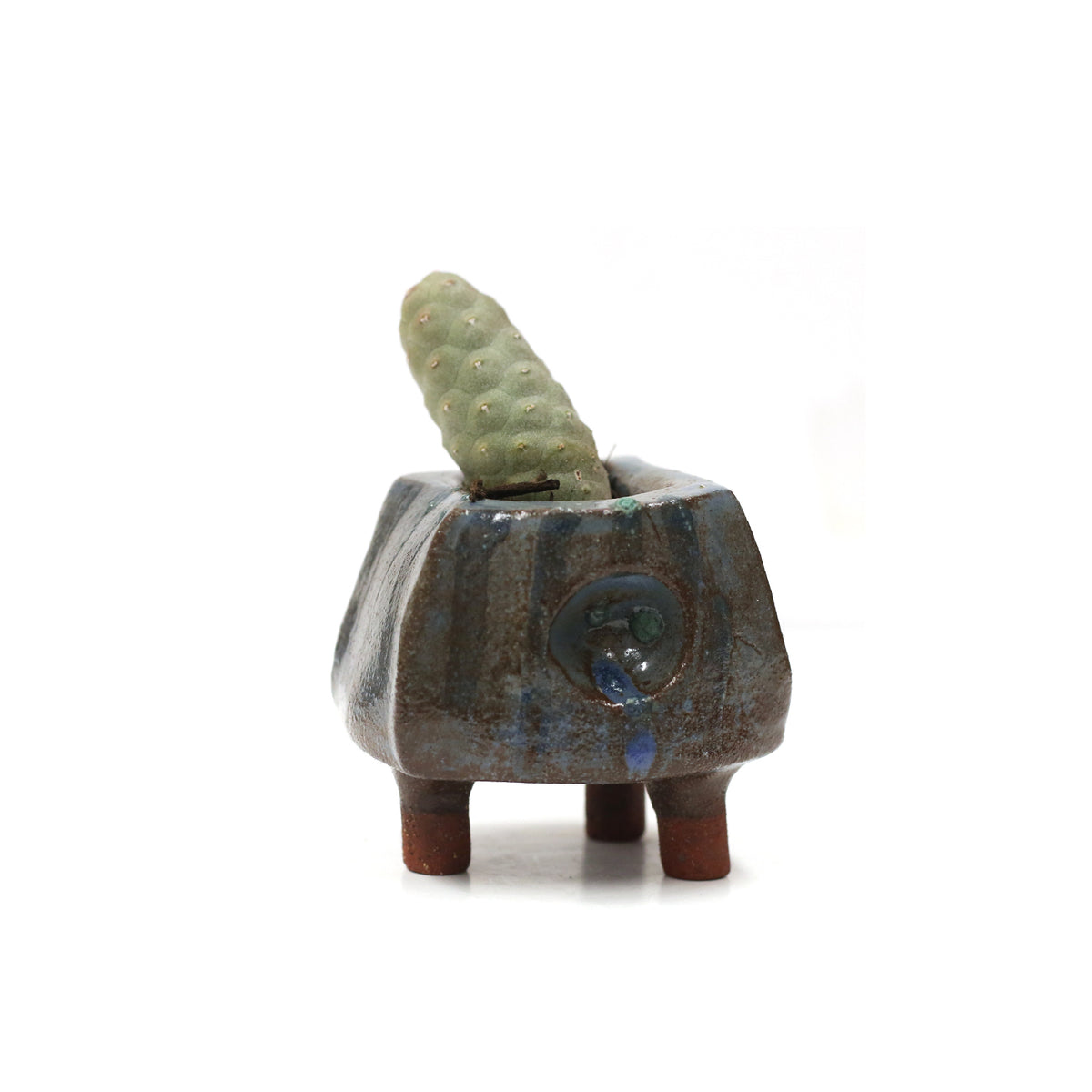 Planter by Kimbery Harris