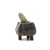 Planter by Kimbery Harris