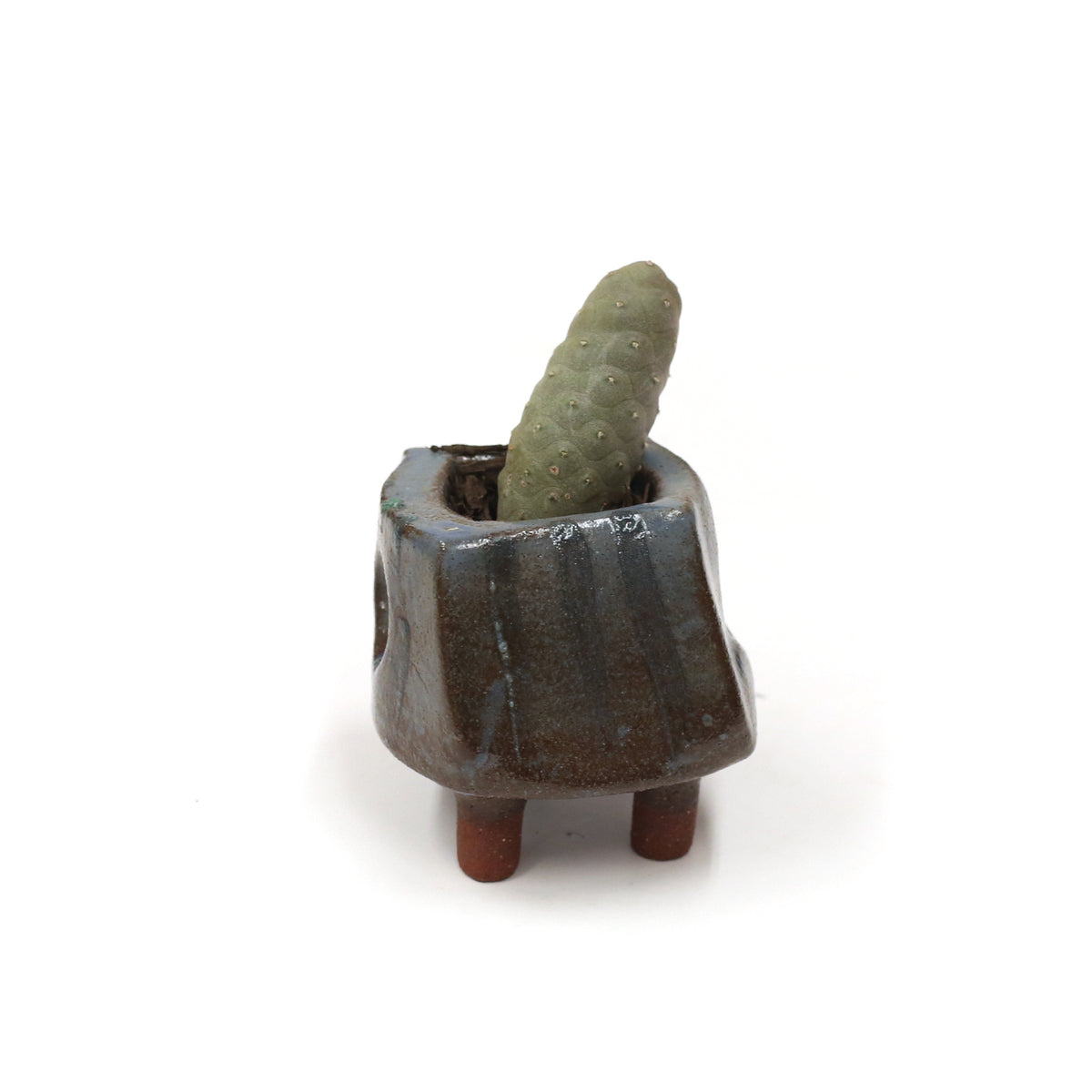 Planter by Kimbery Harris