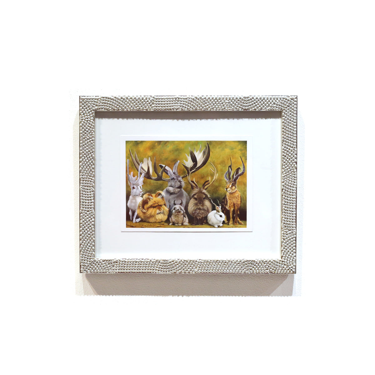Framed Jackalopes of the World by Leah Kiser