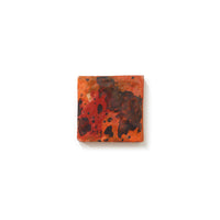 4" Ceramic Tiles by Amy Sansbury Manning