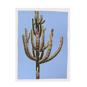 Saguaro Sketch by Andy Brown