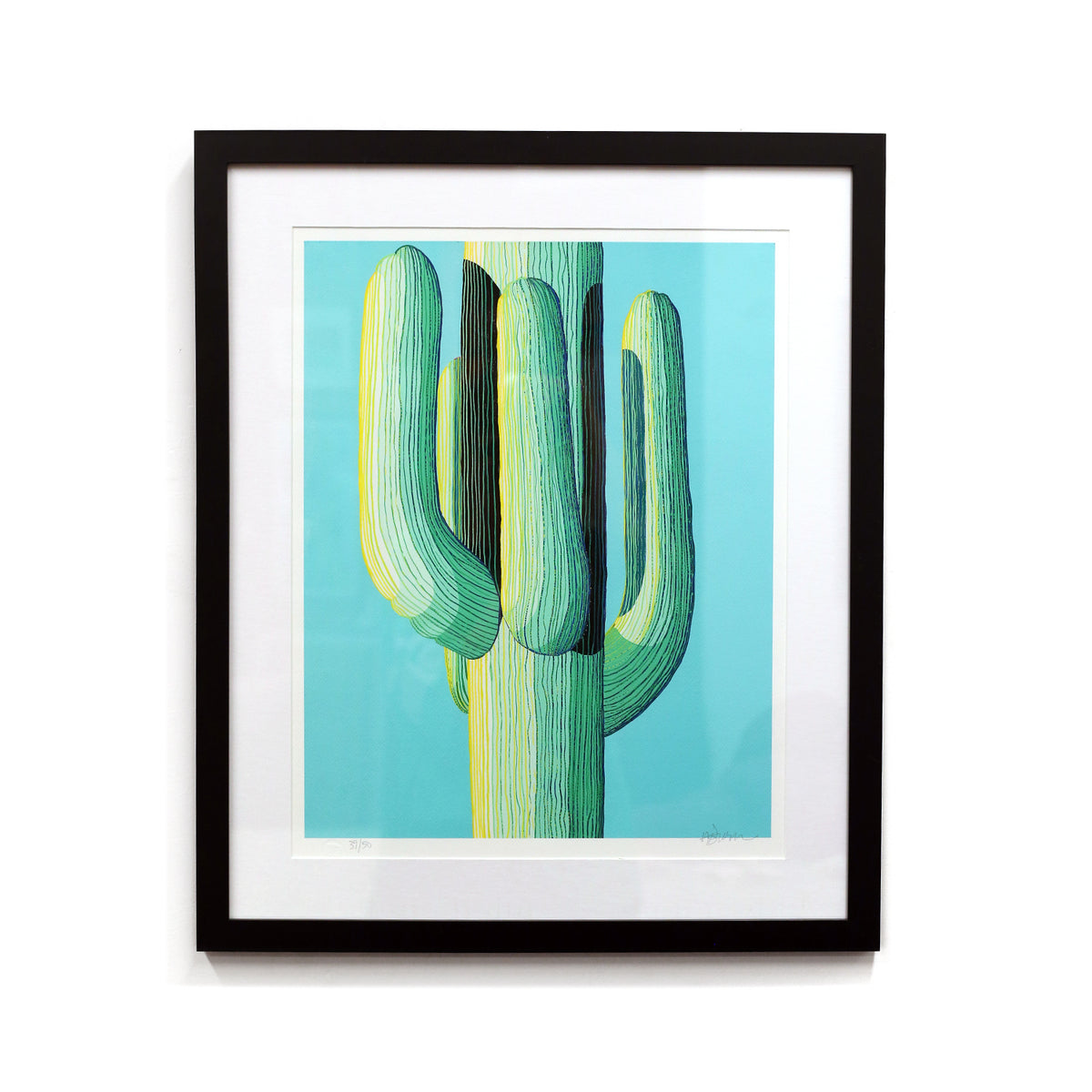 Framed Morning Light by Andy Brown