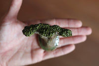 Framed Branches III by Annette Janelle