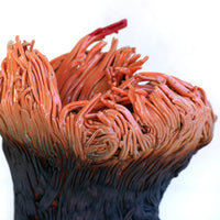 Ceramic Sketch by Brad Towsley