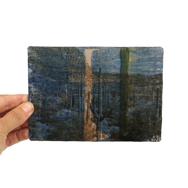 Postcard Collaboration by Brad Towsley & Lisa Olson