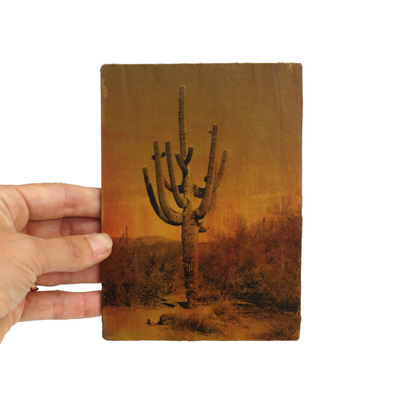 Postcard Collaboration by Brad Towsley & Lisa Olson