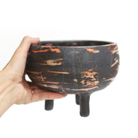 Black Planter by Darshana Patel