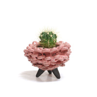 Tri-pod Planter by Darshana Patel