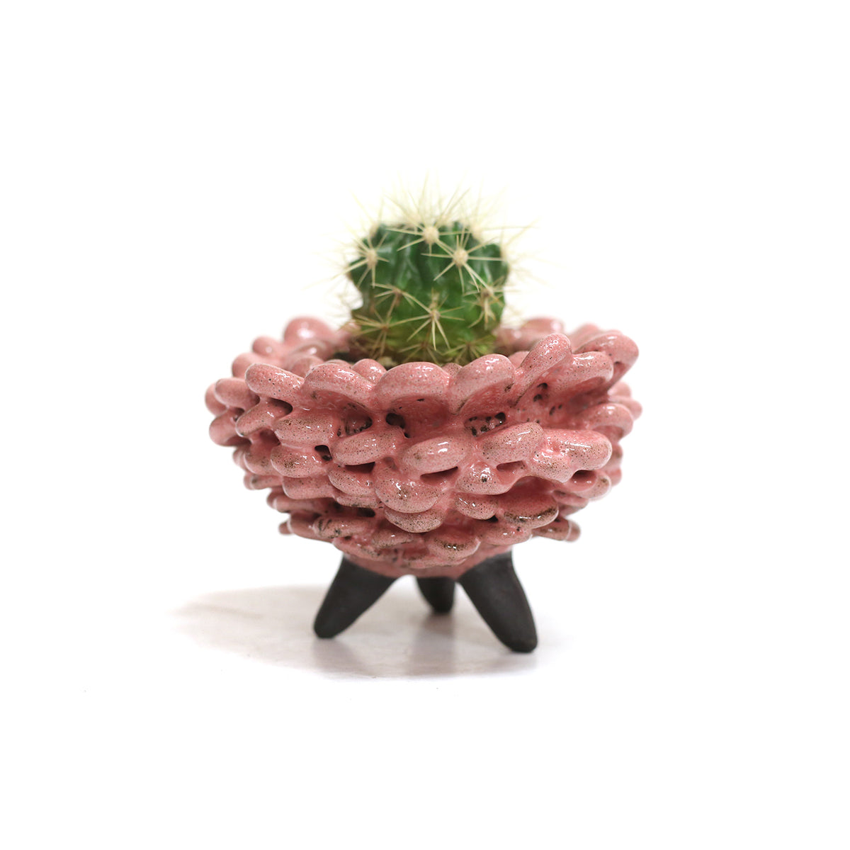 Tri-pod Planter by Darshana Patel