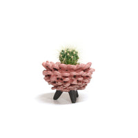 Tri-pod Planter by Darshana Patel