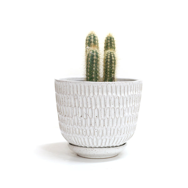 White Planter with Tray by Darshana Patel