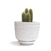 White Planter with Tray by Darshana Patel