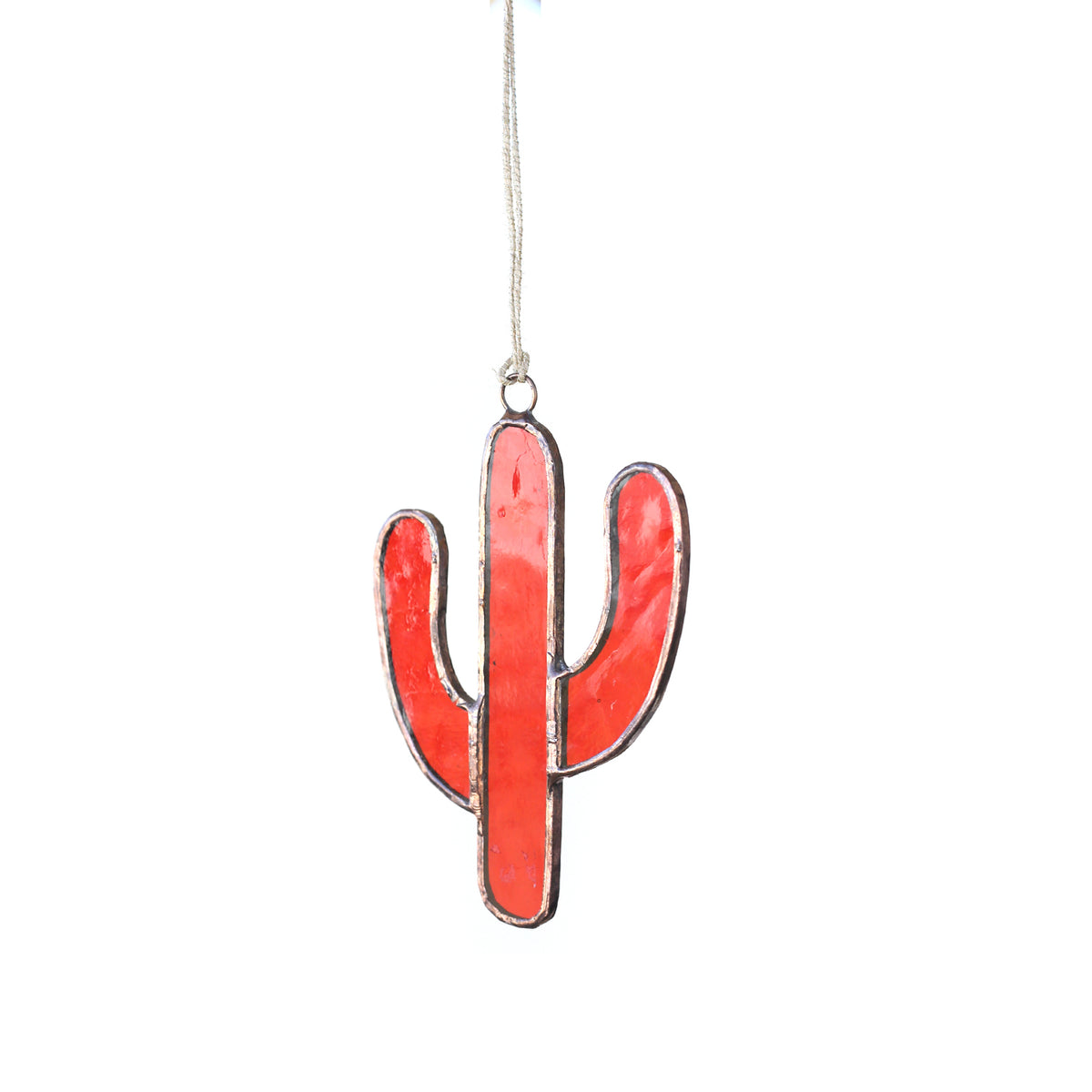 Cactus by Shannon Krol