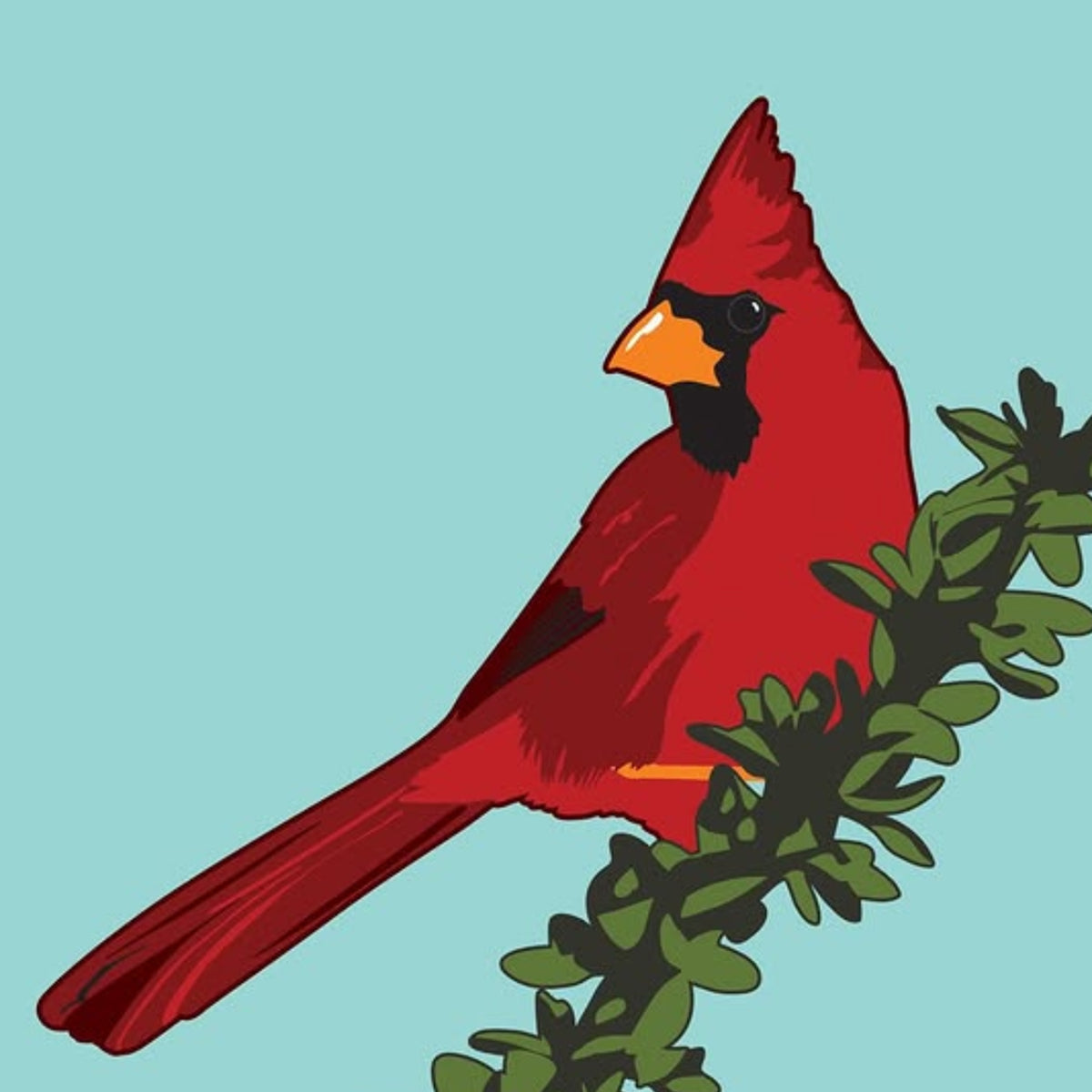 Cardinal by Jake Early