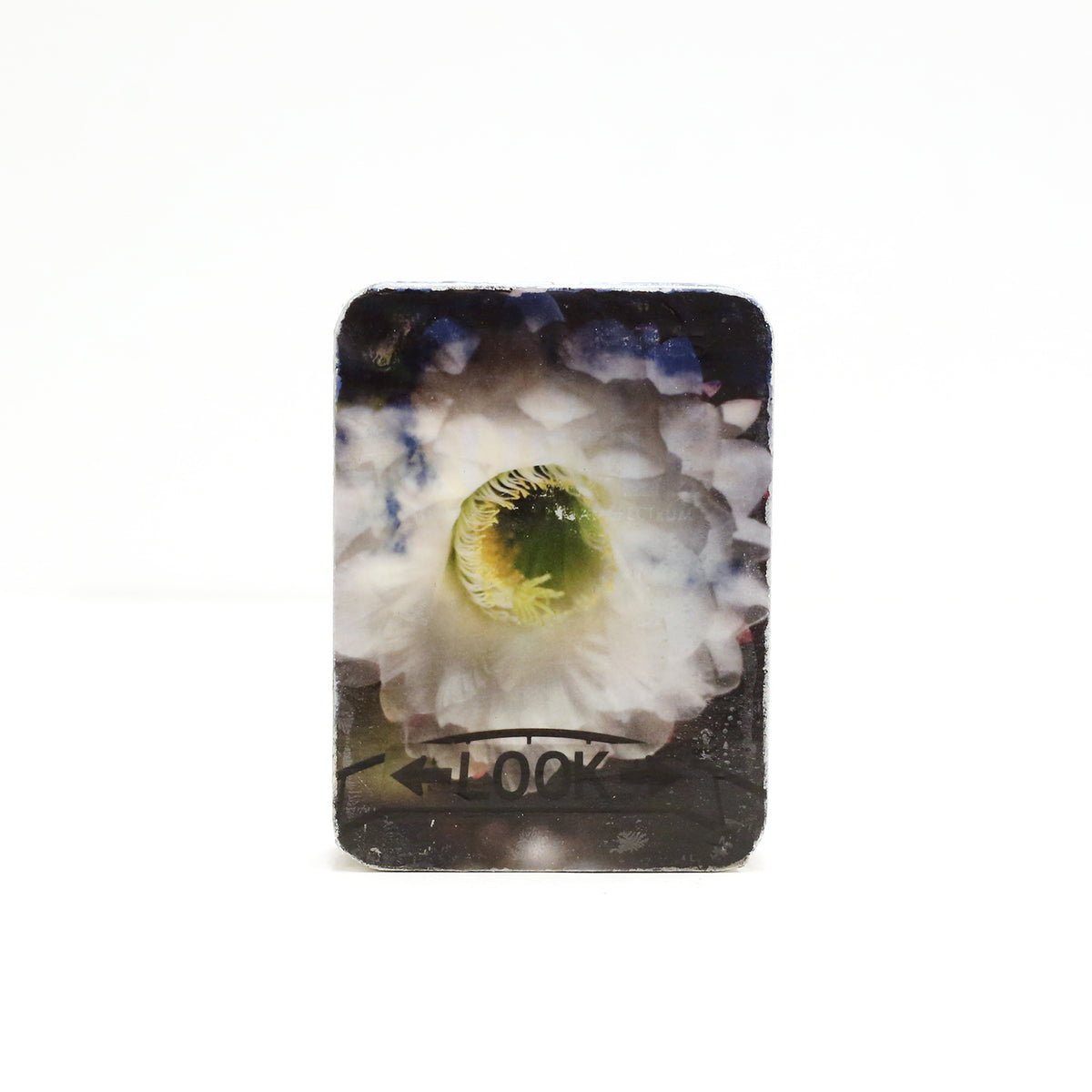 Collaboration Tins by Brad Towsley & Lisa Olson