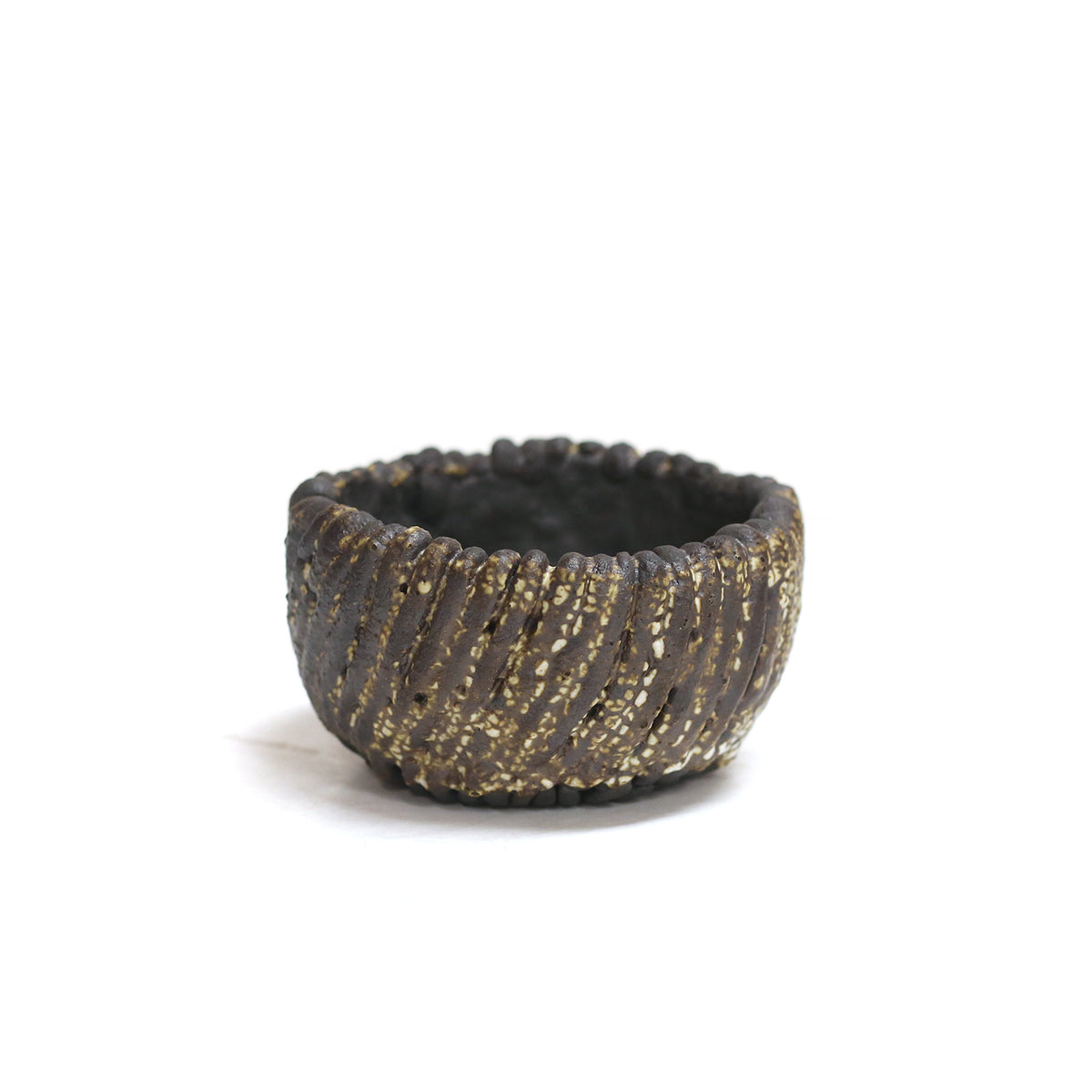 Coil Pot by Darshana Patel