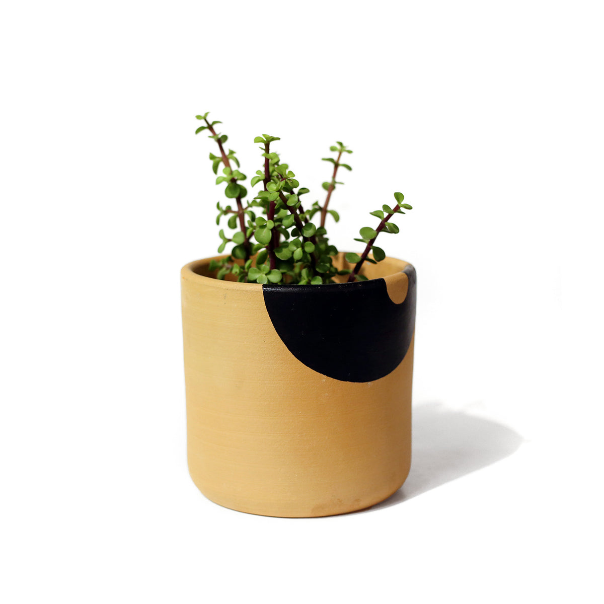 hands planter pot 6" Hands planter by Elizabeth Brice-Heames – Practical Art