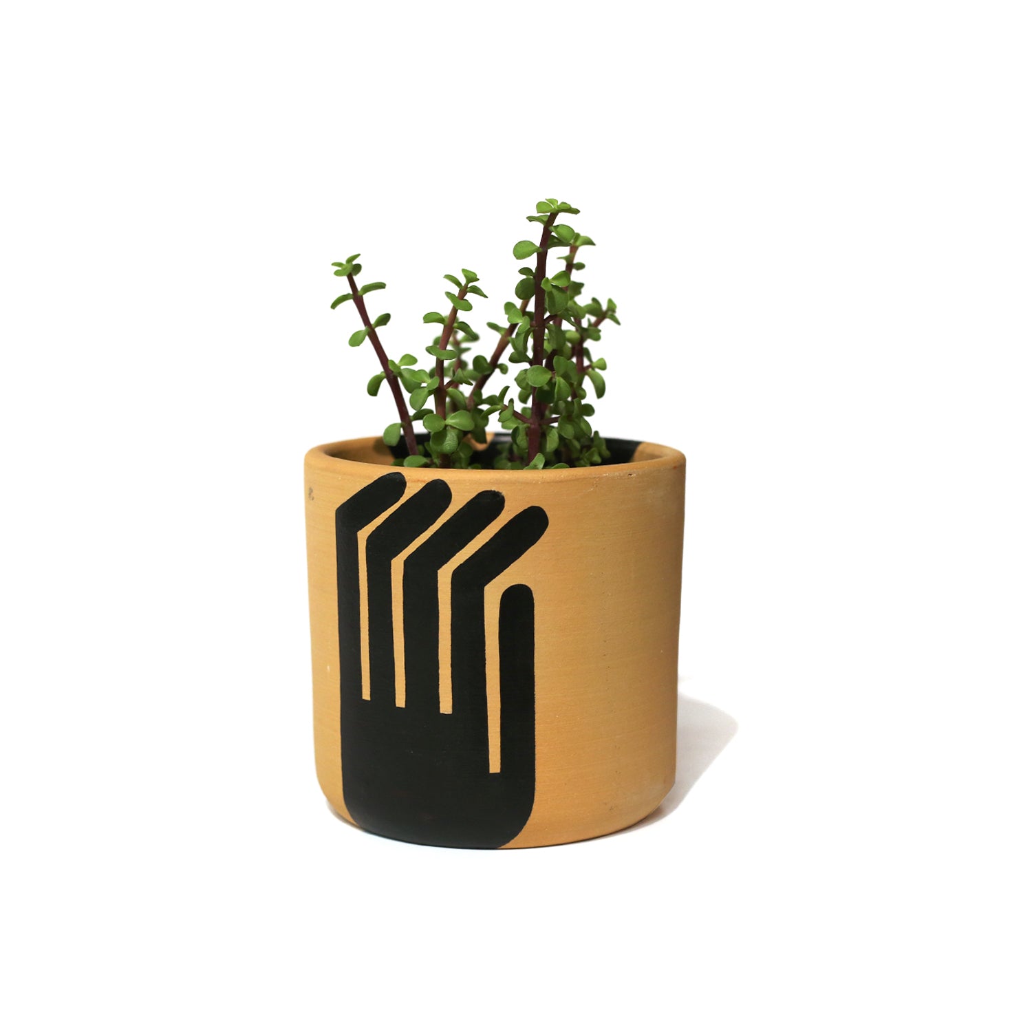 hands planter pot 6" Hands planter by Elizabeth Brice-Heames – Practical Art