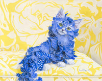 "Freckled Feather Kitten" Print by Leah Kiser