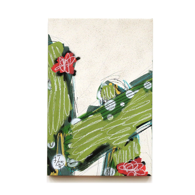 Graffiti Cacti by Fernando Barajas