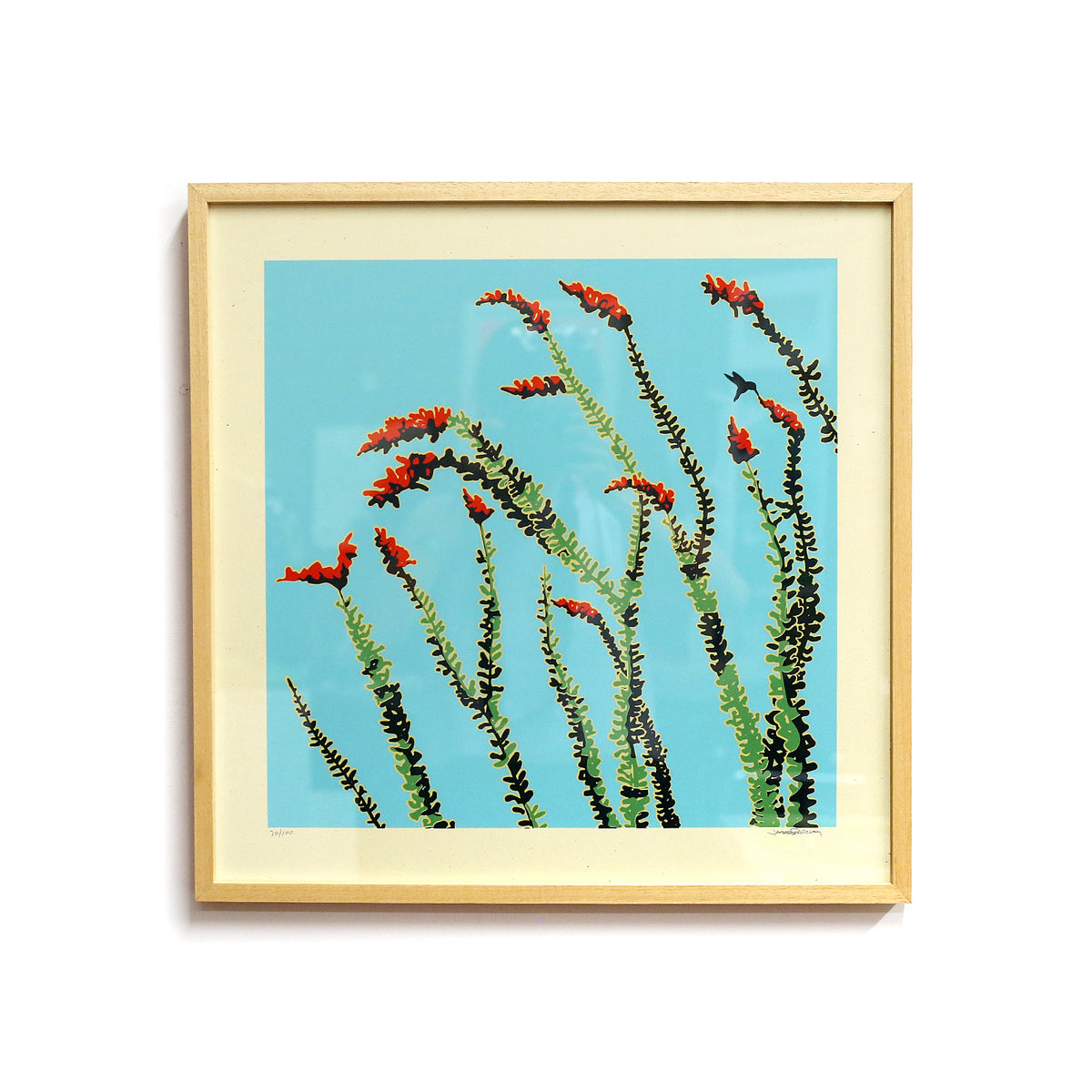 Ocotillo II by Jake Early