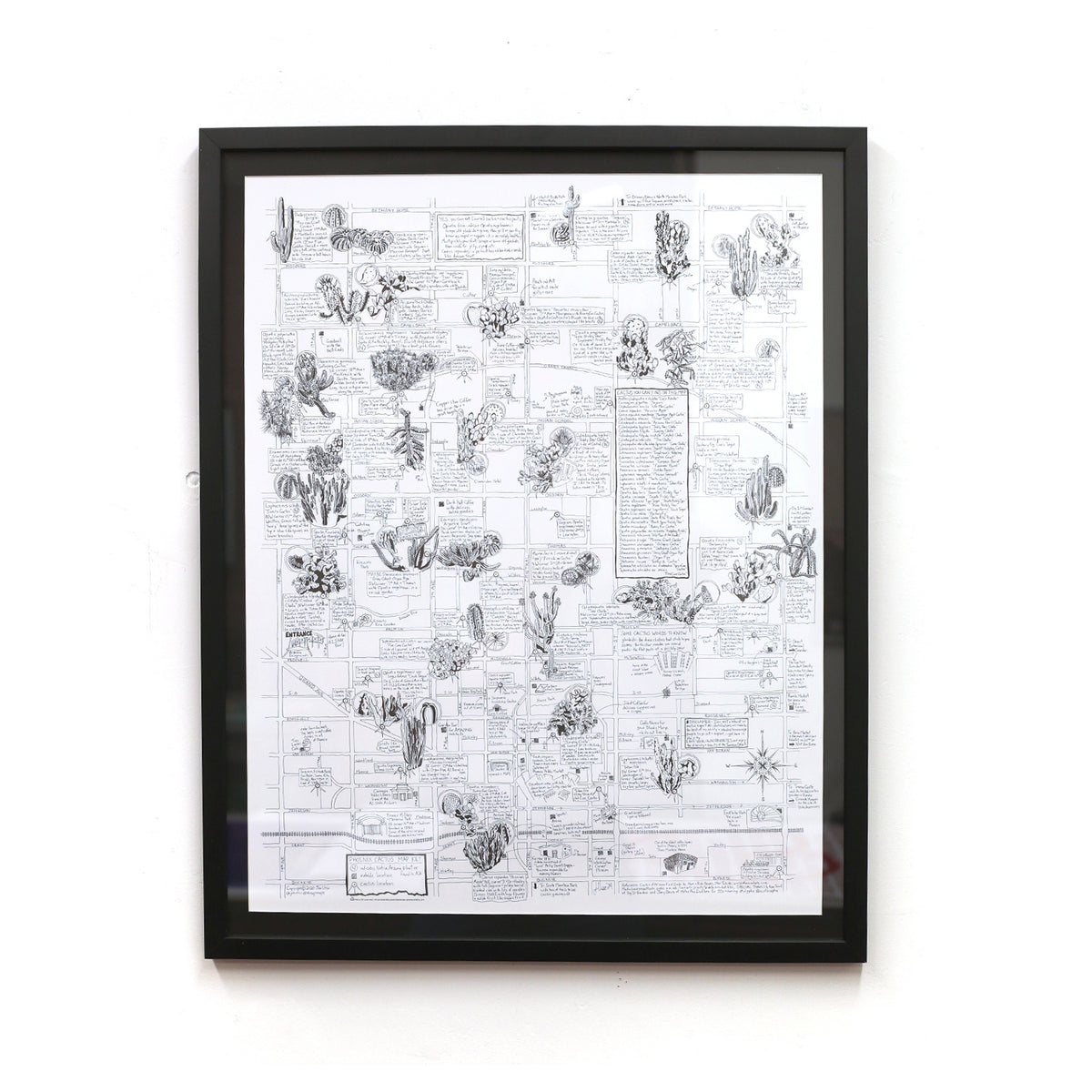 Phoenix Cactus Map by Jen Urso