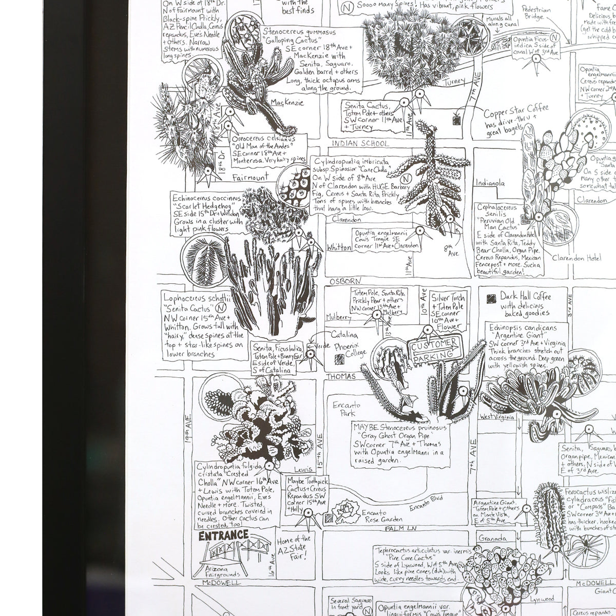 Phoenix Cactus Map by Jen Urso