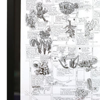 Phoenix Cactus Map by Jen Urso