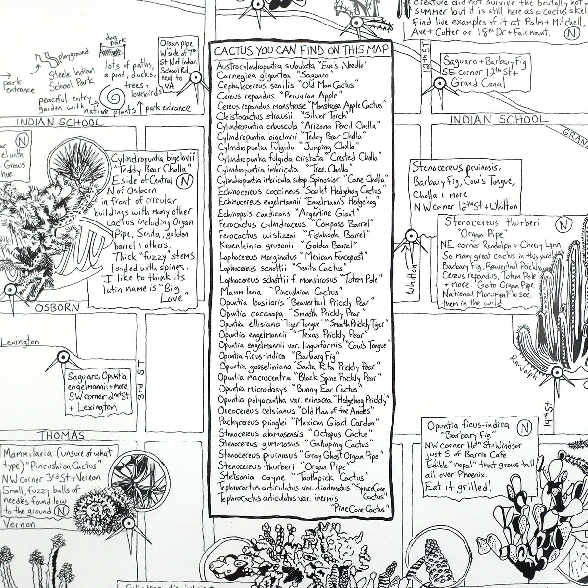 Phoenix Cactus Map by Jen Urso