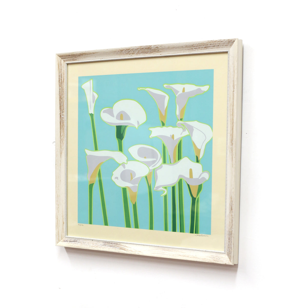 Calla Lily by Jake Early