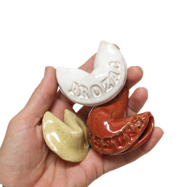 Good Fortune Cookies by Tracy Montgomery