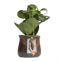 5" Planter by Jennifer Gross