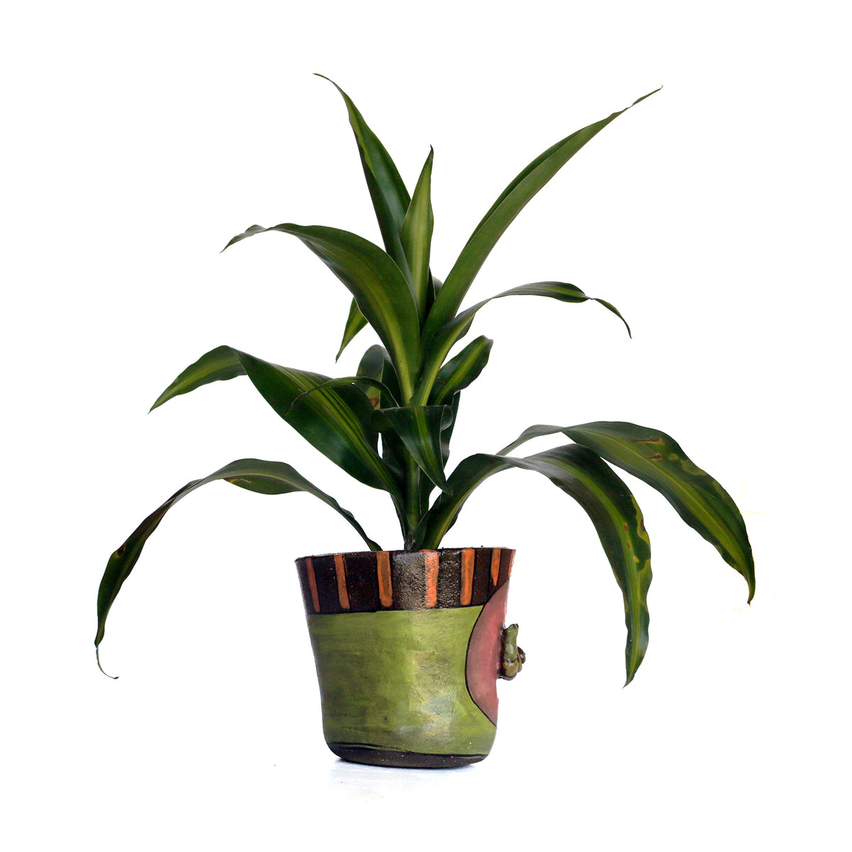 5" Planter by Jennifer Gross