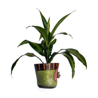 5" Planter by Jennifer Gross
