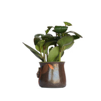 5" Planter by Jennifer Gross