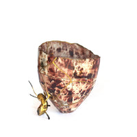 Kintsugi Collab by Jackie Brink & Ashley Gauntt