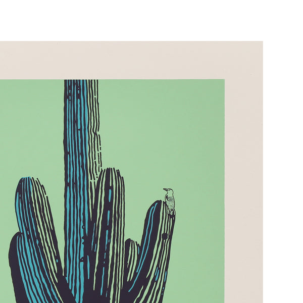 Saguaro by Jake Early