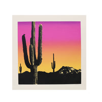 Sonoran Sunset by Jake Early