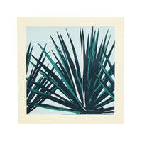 Imperfect Blue Agave Print by Jake Early